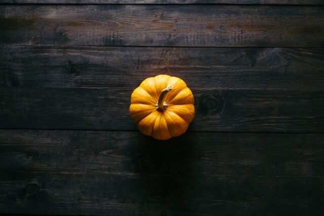 Little Pumpkin - Image 4